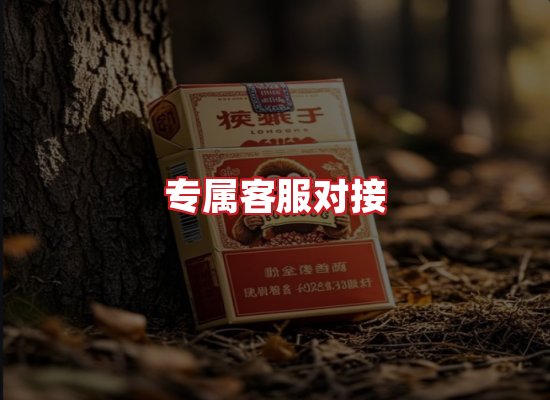 专业团队
